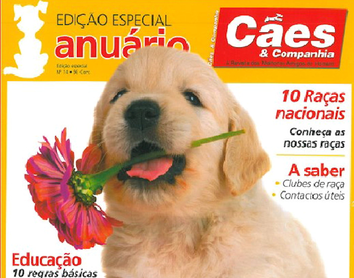 Exposições