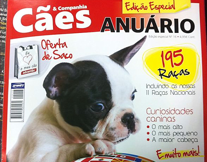 Exposições